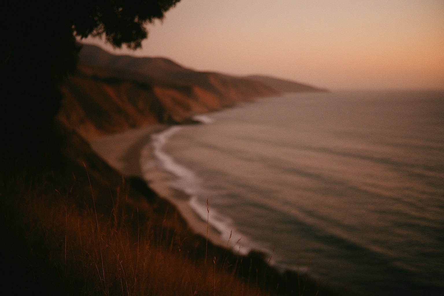 A coastal cove and wooded cliffs in warm evening light.