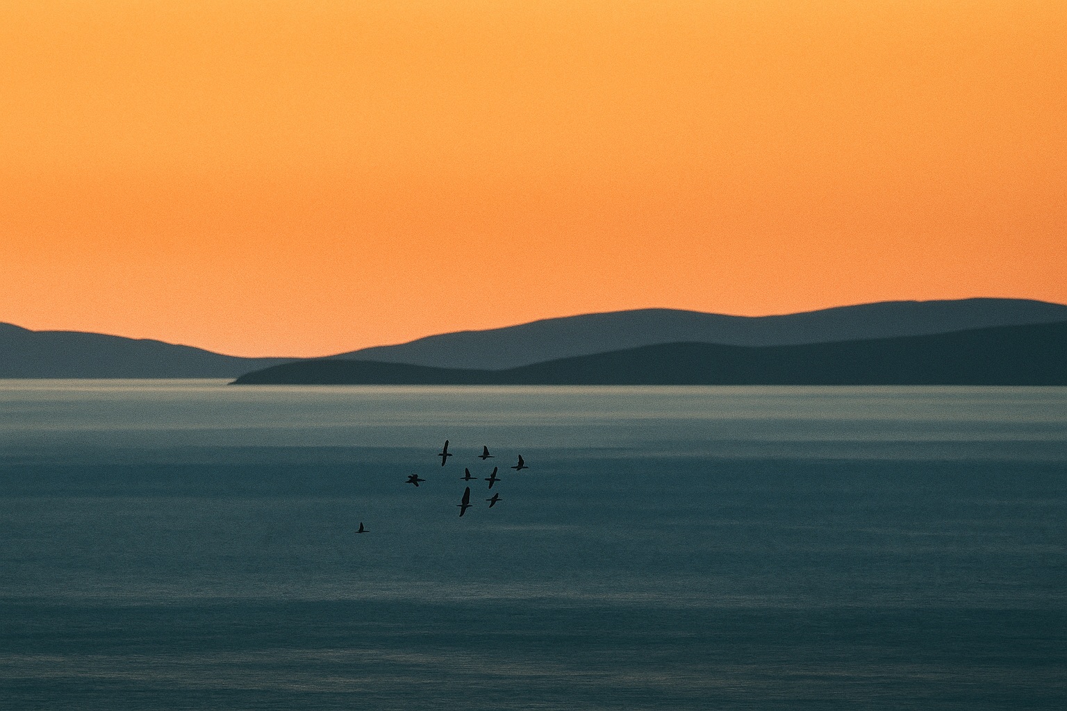 A Pacific coastline at dusk, layered headlands receding into haze with a small flock of birds over still water.